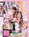 秋葉原現役No1メイド喫茶店員 AV解禁 真白愛莉－真白愛梨のDVD画像