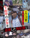 下校中の○女を盗撮した性犯罪映像－-のDVD画像
