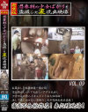 発禁版 思春期の○女ばかりを盗撮した裏流出映像 No9－-のDVD画像