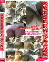 本物看護師院内パンチラ盗撮 No2－-のDVD画像