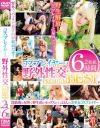 コスプレイヤー野外性交PREMIUM BEST2枚組6時間－-のDVD画像