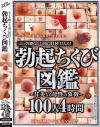 ぷっくり膨らんだ頂に釘付けとなる 勃起ちくび図鑑～甘美なる母性の象徴 100人4時間－-のパッケージ画像