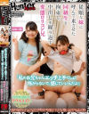 新田みれいのDVD画像