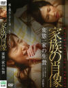 志村玲子のDVD画像