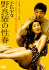 不良○女 野良猫の性春－にっかつのDVD画像