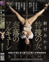 特捜の女 奈落のワルキューレ 新村あかり－新村あかりのパッケージ画像