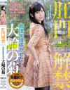 七瀬ひまりのDVD画像