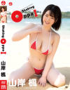 Shaking OppaI 山岸楓－エスデジタルのDVD画像