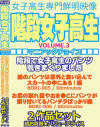 階段女子○○マニアックチョイス2作品セット No3－ぼっくす屋のDVD画像