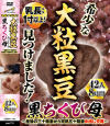 乳長:1寸以上 希少な大粒黒豆見つけました 黒ちくび母 産後の三十路妻から完熟五十路妻 中出し交尾 42人8時間－-のDVD画像