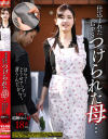 有村麻衣のDVD画像