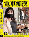 電車痴漢 盗撮+痴漢ハメ撮り編 No12－-のDVD画像