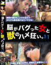 獣姦 脳がバグった女と獣のハメ狂い。 No11－-のDVD画像