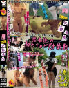 同人 誘惑の完熟果実(誘惑)－すまほ。のDVD画像