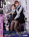 先輩CAがまさかのレズビアン？！仕事中に乳揉みレズハラされて感じてしまった新人CA2－-のDVD画像