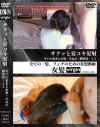 サクッと髪コキ髪射 ギャル系まとめ髪・ひなた 艶茶髪・ミミ－-のDVD画像