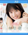 榊原萌のDVD画像