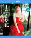 山岸あや花のDVD画像