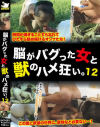 獣姦 脳がバグった女と獣のハメ狂い。No12－-のDVD画像