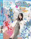 吉高寧々のDVD画像