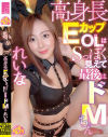 高身長EカップOLはSっぽく見えて最後はドMちゃん れいな－-のDVD画像