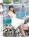 谷村凪咲のDVD画像