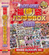 ACT-NET (得)福袋パンチラBOX2026－-のDVD画像