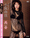 再会 小阪由佳－小阪由佳のDVD画像