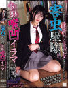 害虫駆除 学校生活を脅かす生徒会のクソ生意気女をゴミのようにねじ伏せて凶悪喉凹イラマでうるせぇ口ごとぶち犯してやった 虹村ゆみ-虹村ゆみのDVD画像