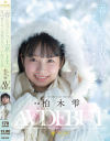 柏木雫のDVD画像