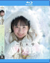 柏木雫のDVD画像