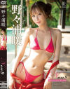 Non9 恋色バケーション 野々浦暖－野々浦暖のDVD画像