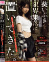 葵いぶきのDVD画像